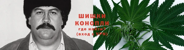 прущие крисы Аркадак