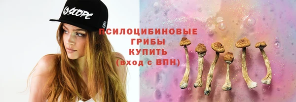 прущие крисы Аркадак