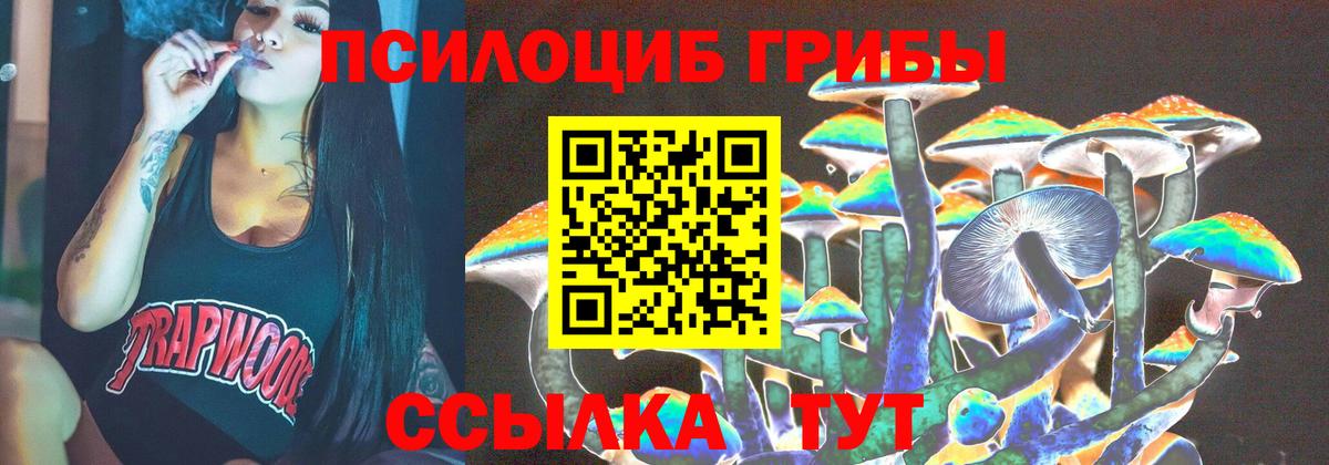 Псилоцибиновые грибы прущие грибы Усть-Джегута