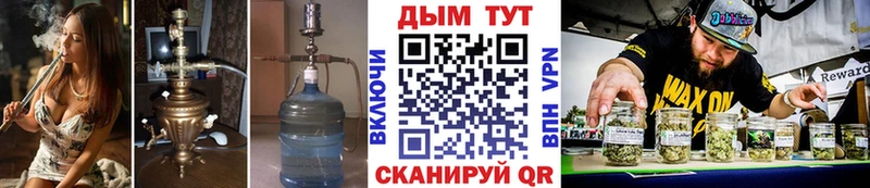 даркнет состав Усть-Джегута Бошки марихуана марихуана